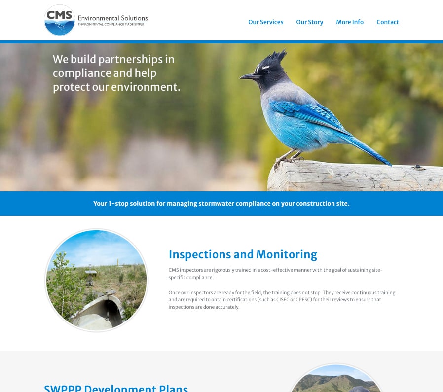 CMS Environmental Solutions website screenshot
