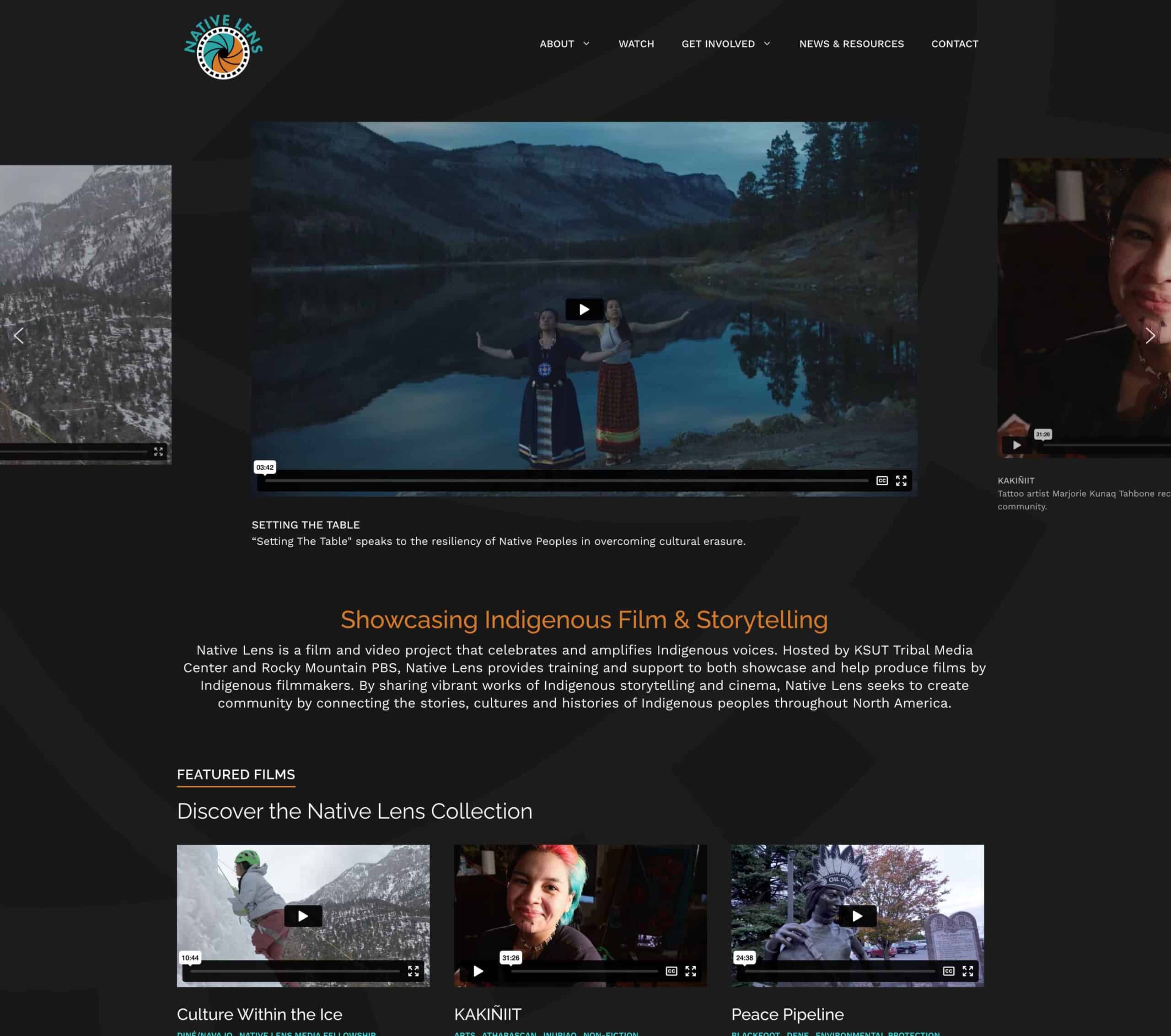 Native Lens website screenshot